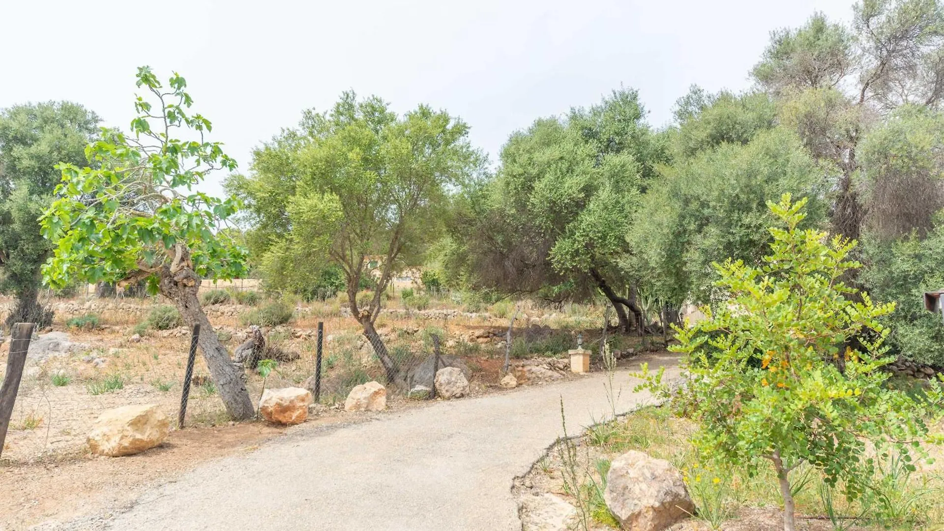 Villa Son Orlandis à Port D'Andratx